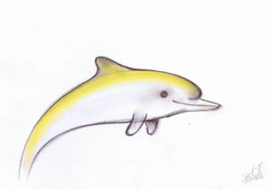Grundform Delfin