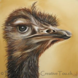 Emu gemalt, Kopf